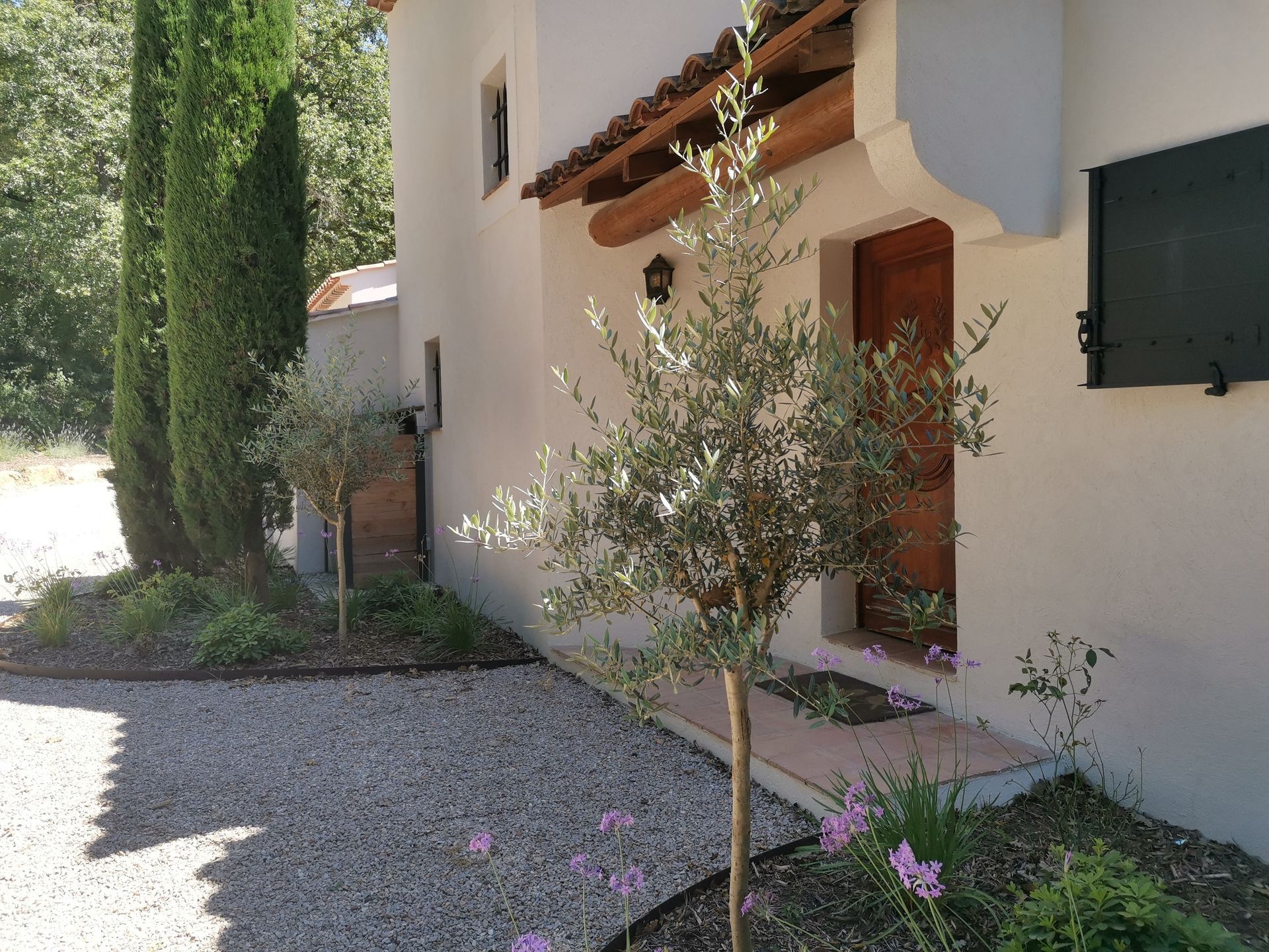 Deux oliviers près de la porte d'une maison à Aix-en-Provence