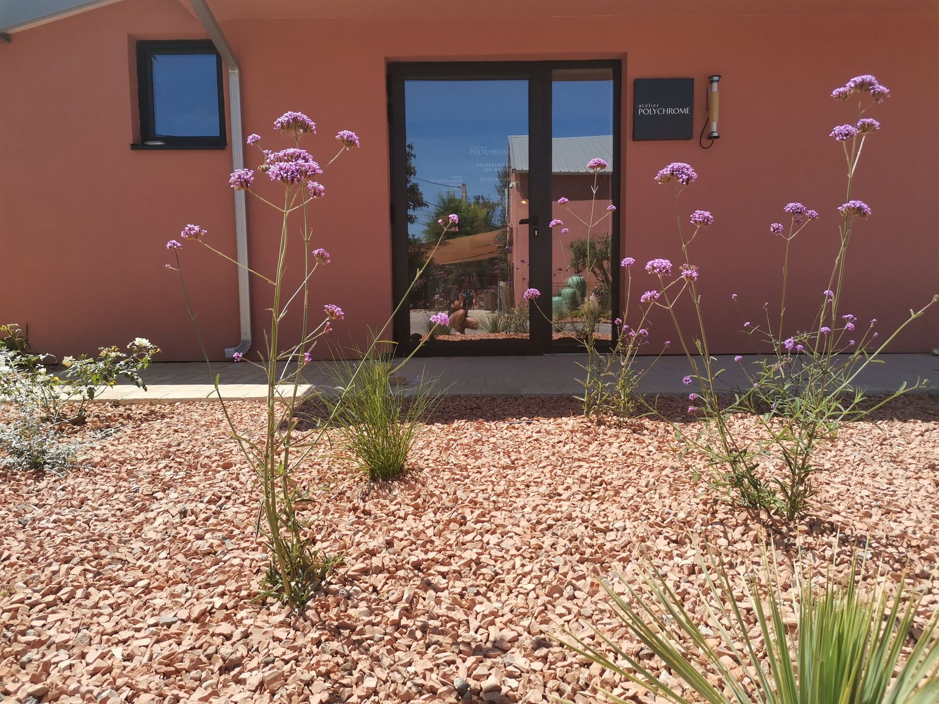 Diverses plantes devant maison à Aix-en-Provence