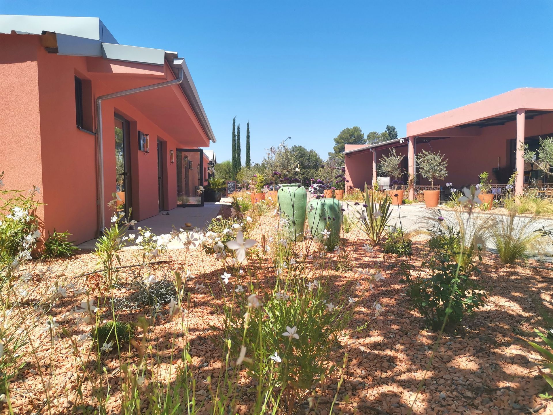 Création Jardin Aix en Provence 