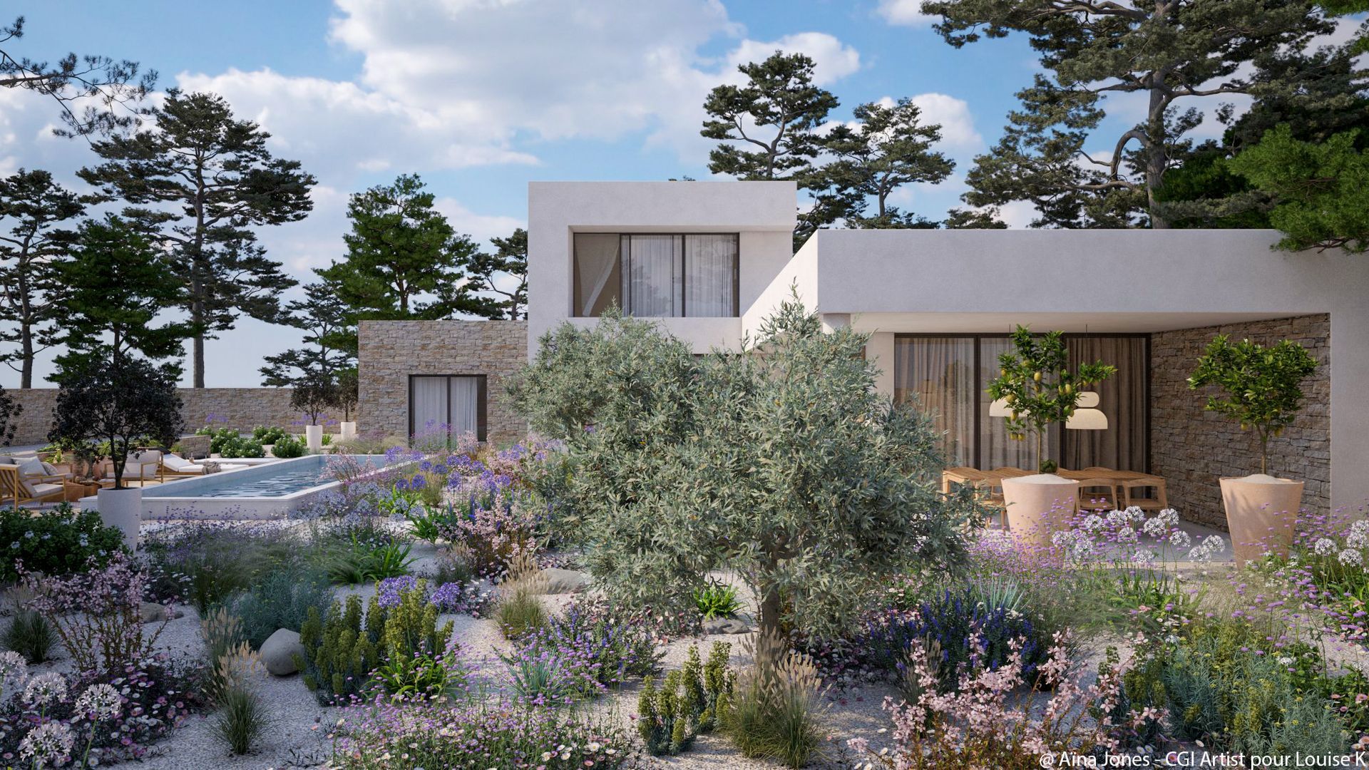 Vue d'ensemble du jardin, de la maison moderne et de la piscine à Aix-en-Provence