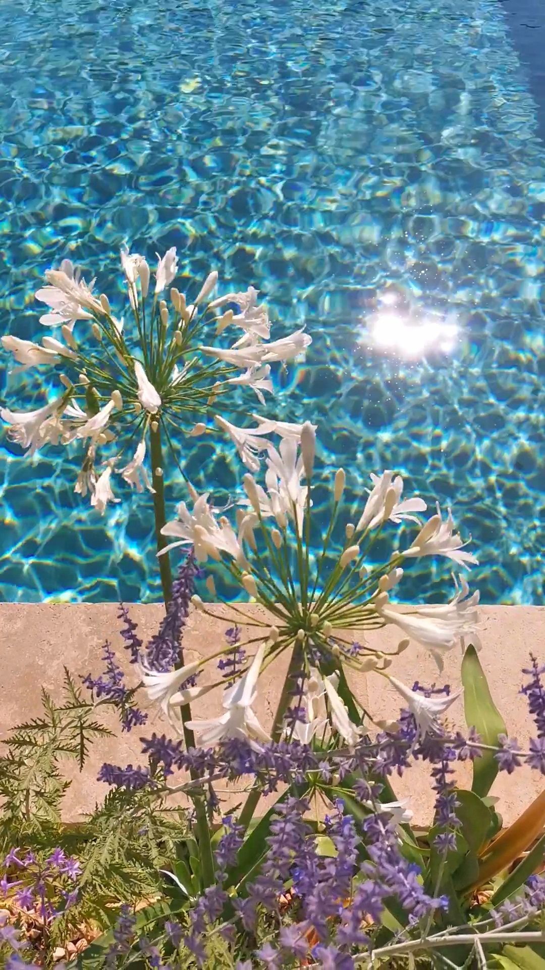 Piscine en béton armé Aix en Provence 