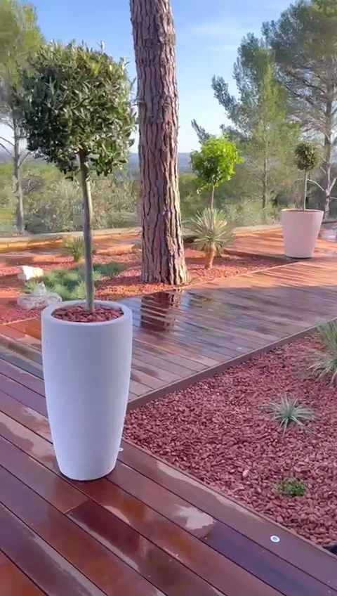 Pots de leurs, plantes vertes, arbres et terrasse à le Tholonet