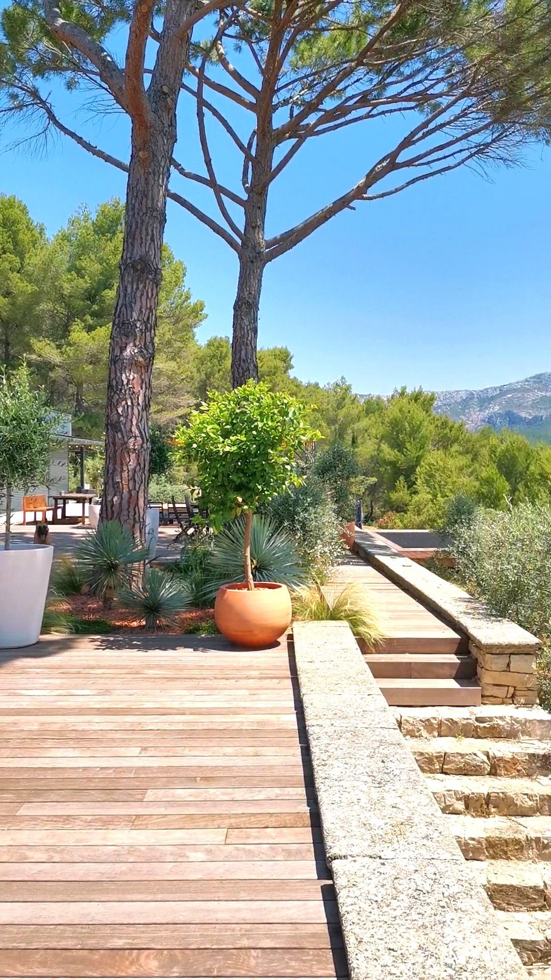 Terrasse en bois et un escalier avec des pots et des arbres à le Tholonet