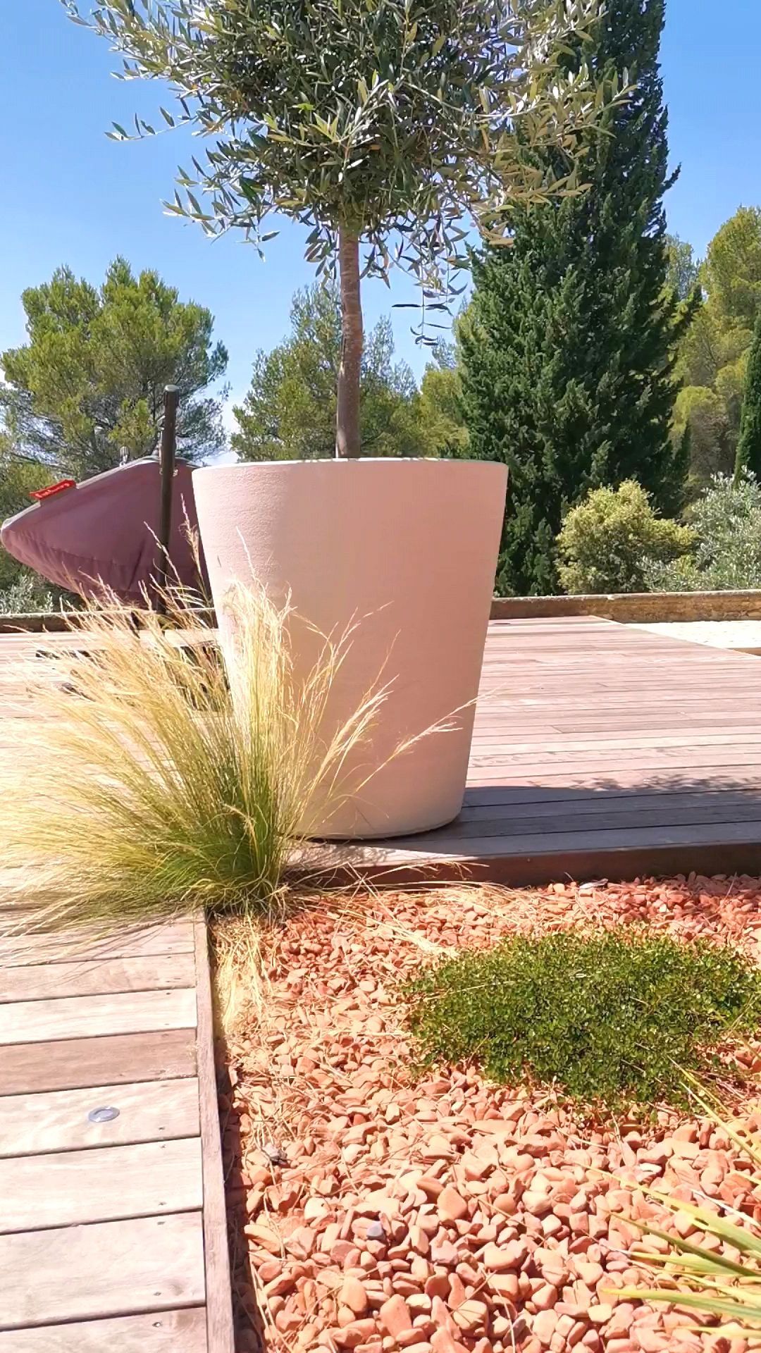 Pot avec un olivier sur une terrasse à le Tholonet