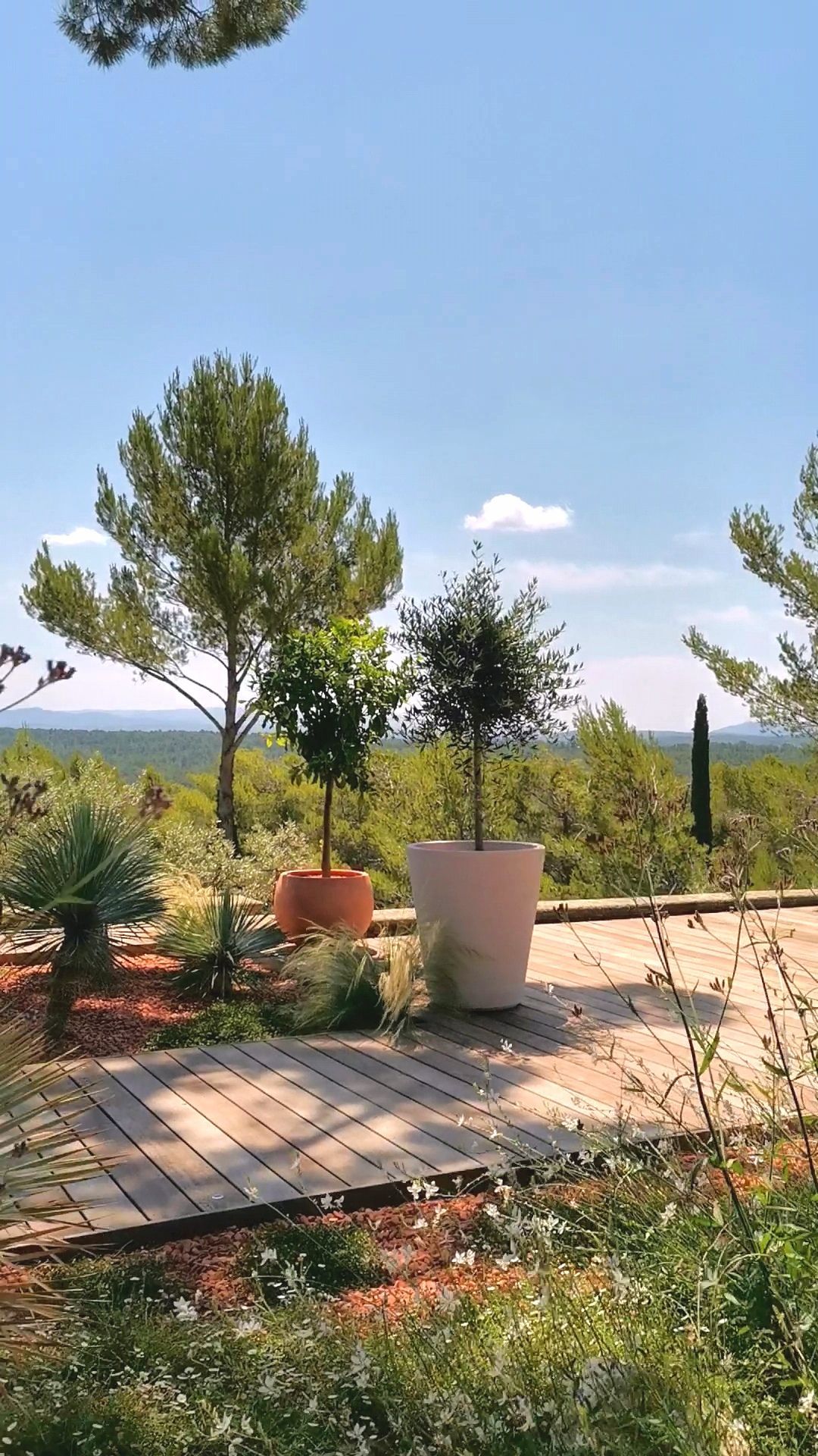 Vue de la terrasse à le Tholonet