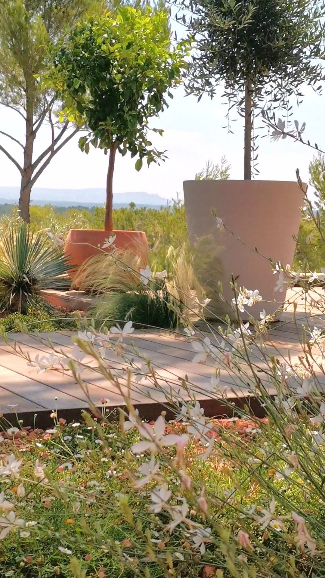 Terrasse en hauteur à le Tholonet