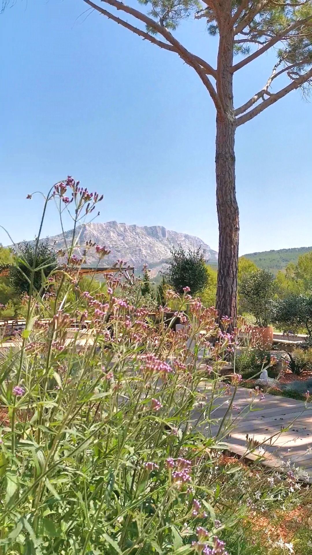 Arbres et fleurs sur une terrasse en bois à le Tholonet
