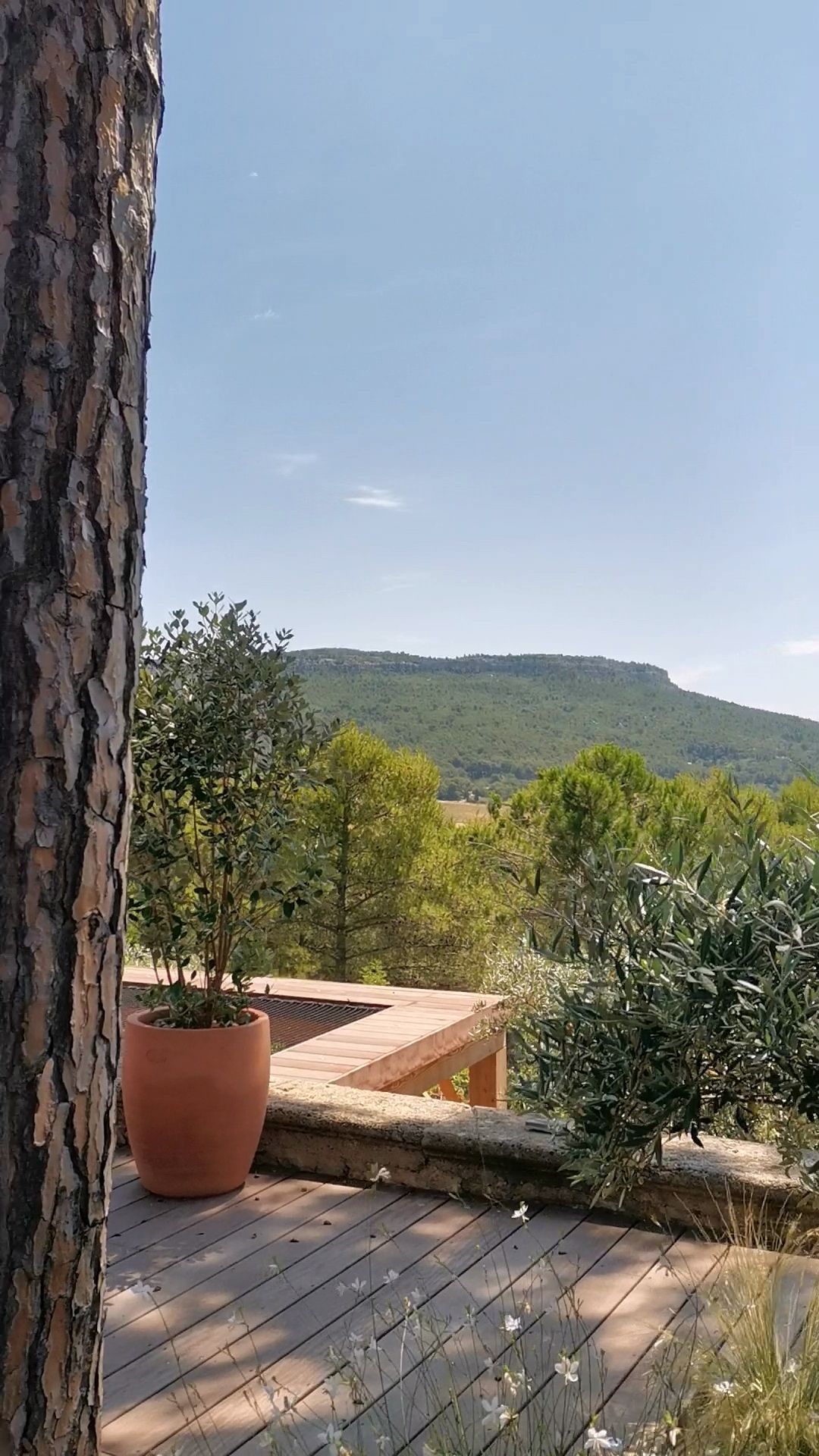 Vue de la vallée depuis la terrasse à le Tholonet