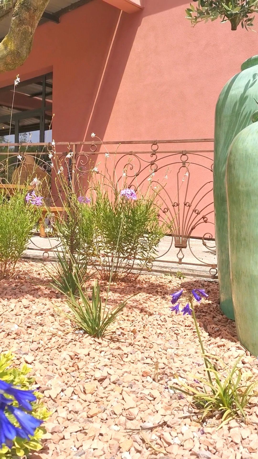 Ensemble de plantes pour l'extérieur d'un bâtiment à Aix-en-Provence