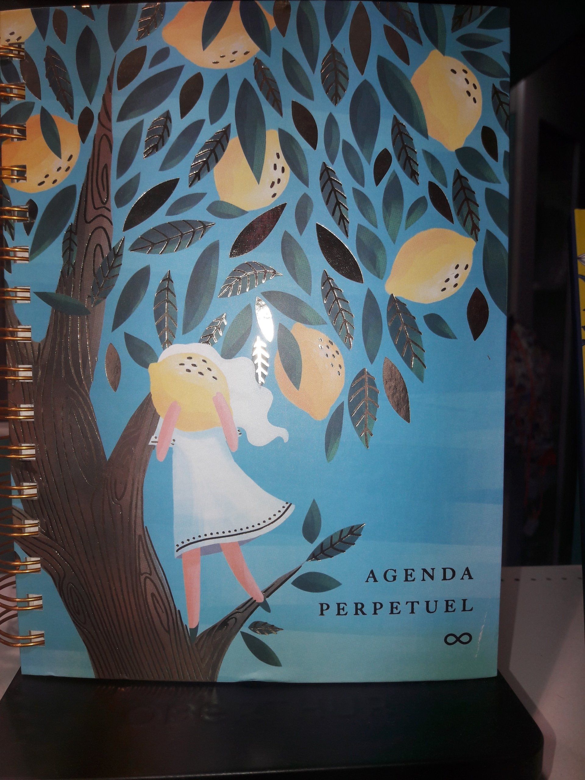 Agenda