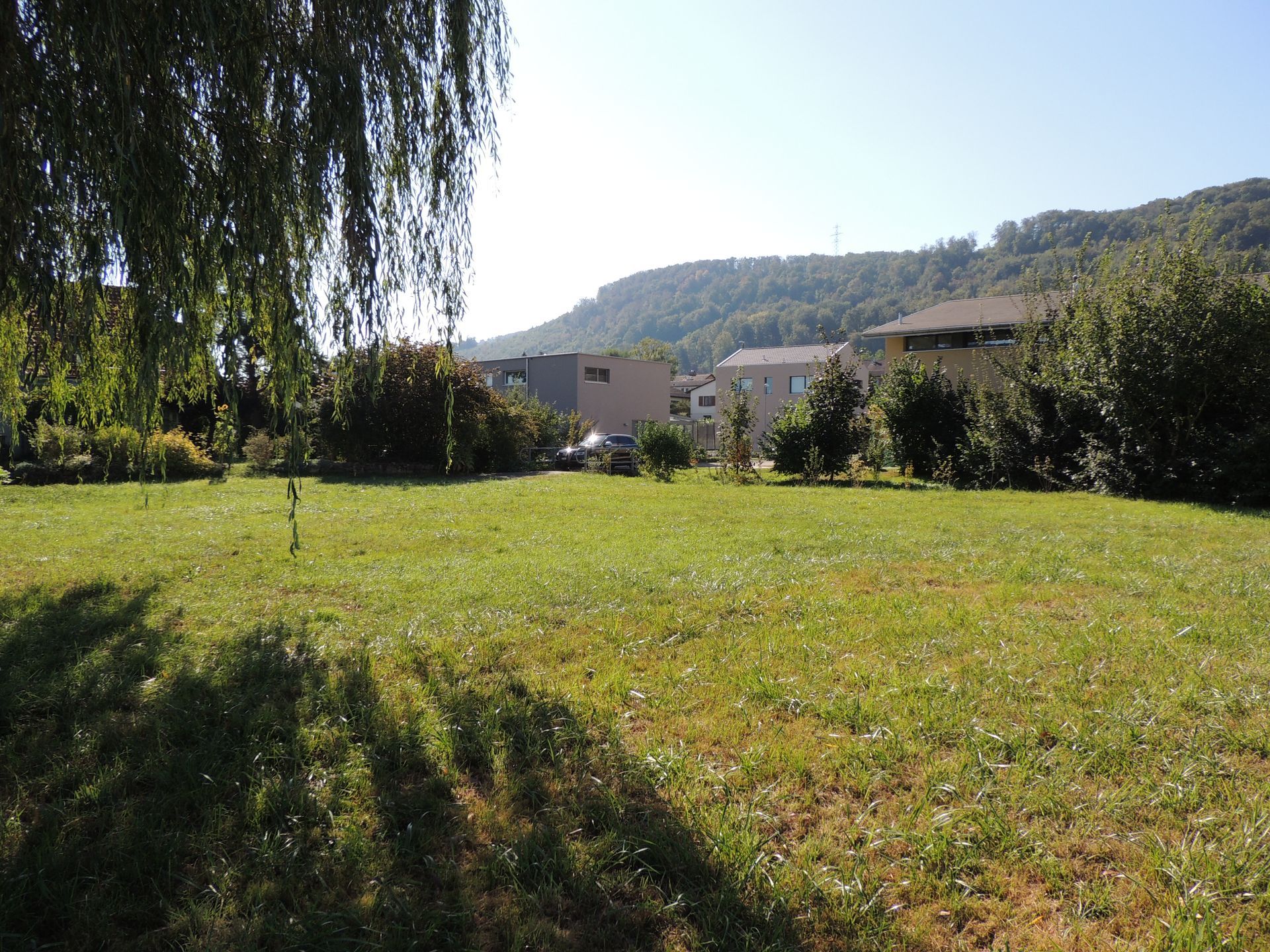 Grünes Grasfeld mit Bäumen und Gebäuden, ein Hügel im Hintergrund, sonniger Tag.