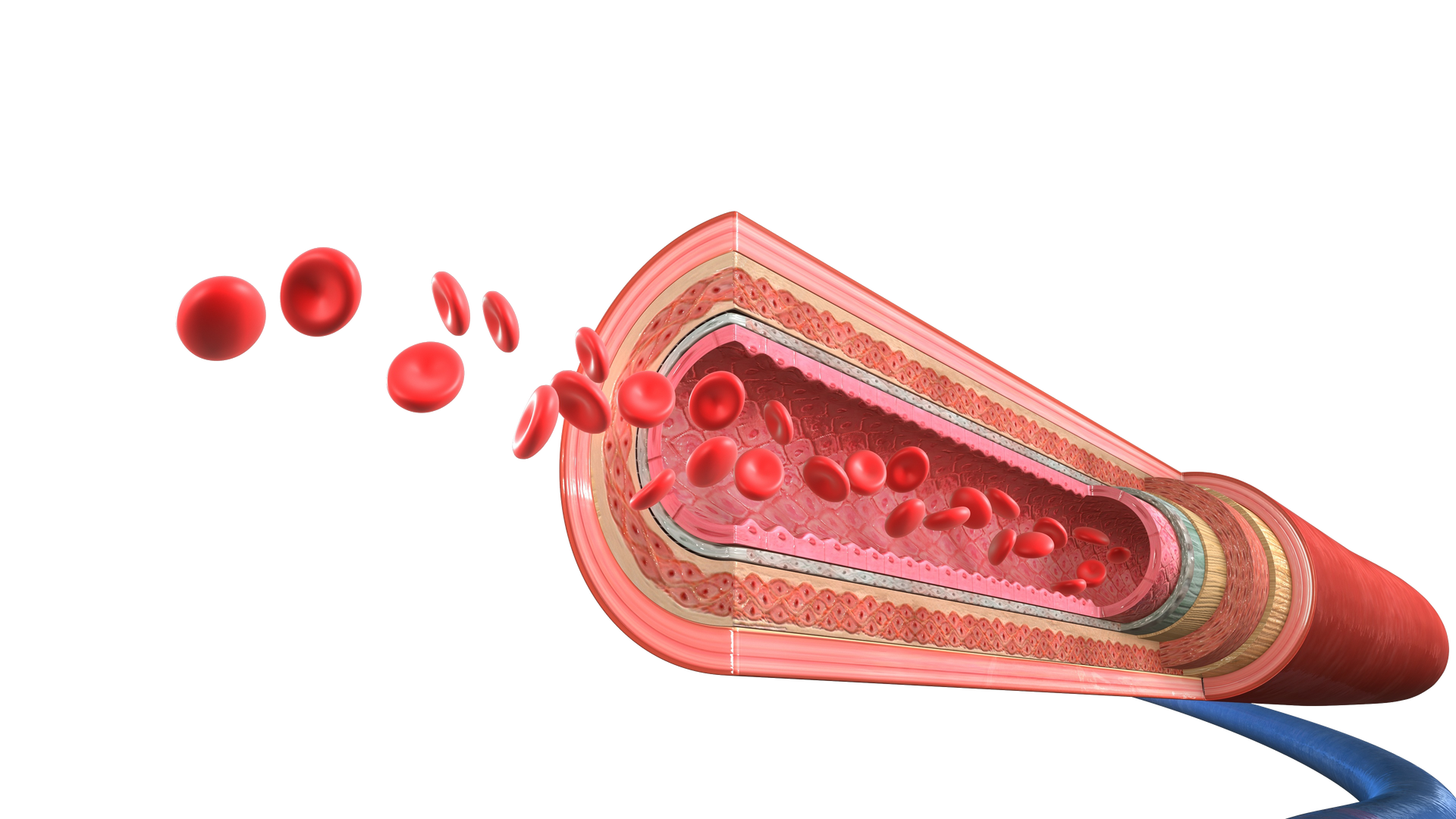 sphingotest® bio-ADM®