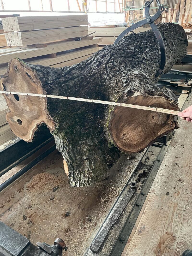 Baumstamm, Foto der Nobs Sägerei AG