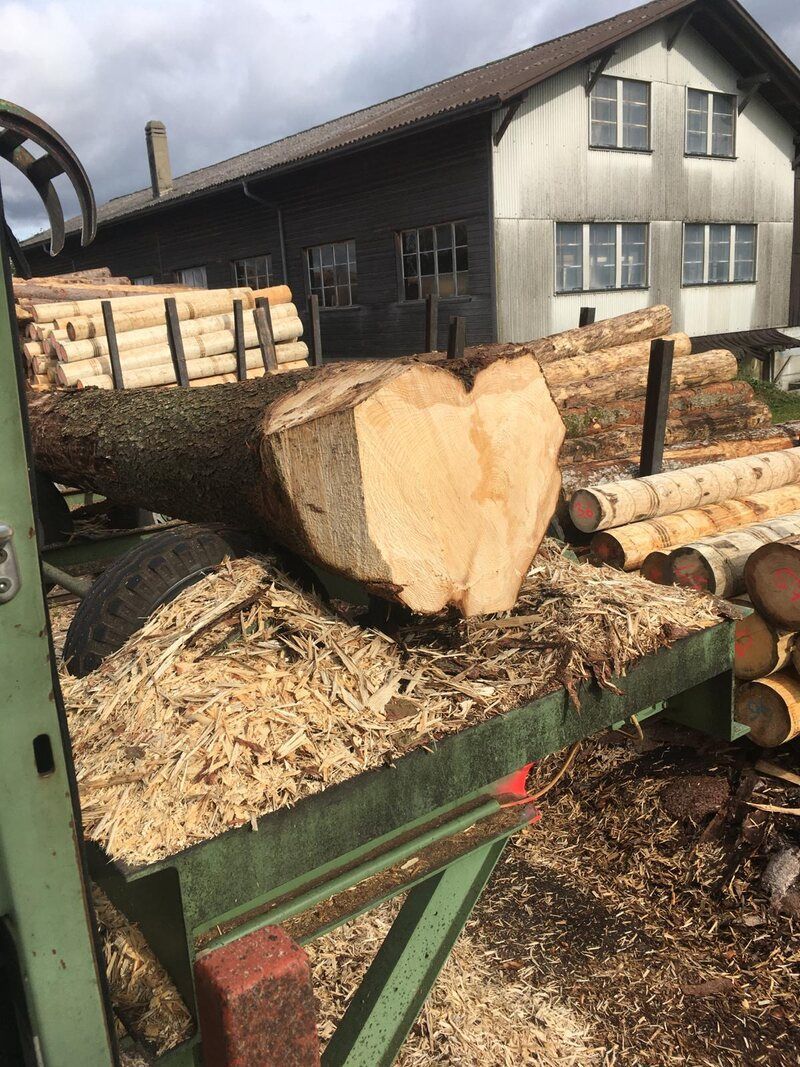 Holz wird verarbeitet, Foto der Nobs Sägerei AG