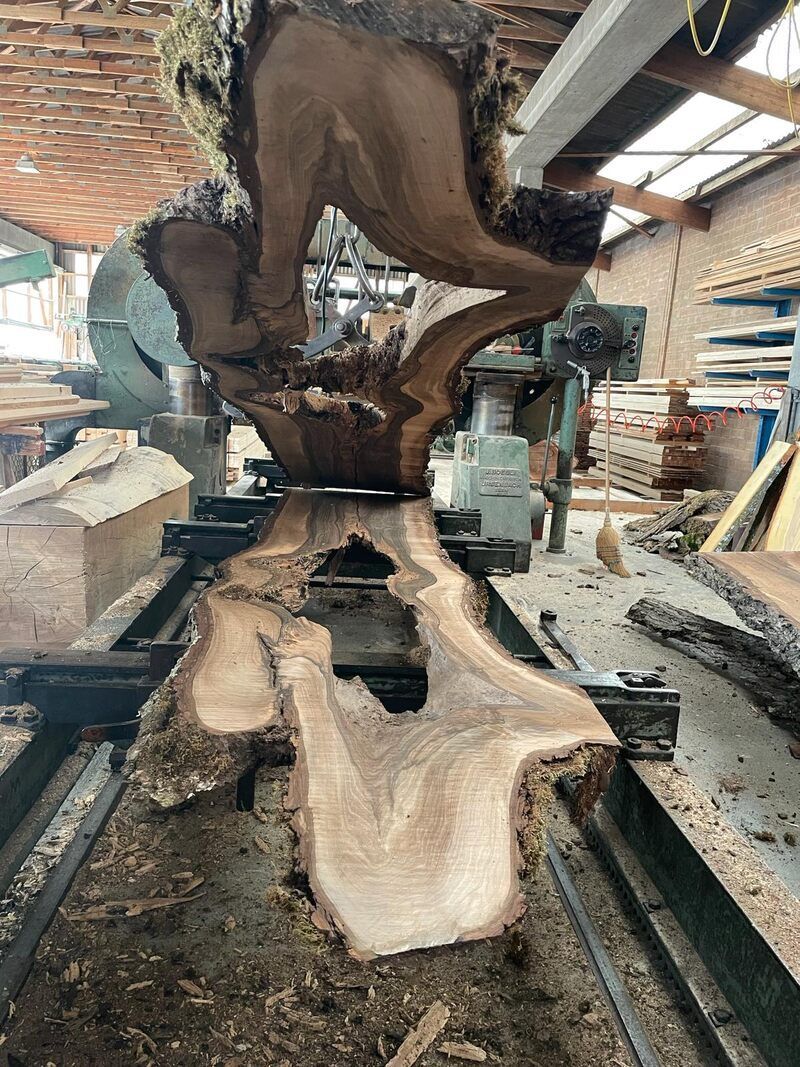 Baumstamm wird verarbeitet, Foto der Nobs Sägerei AG