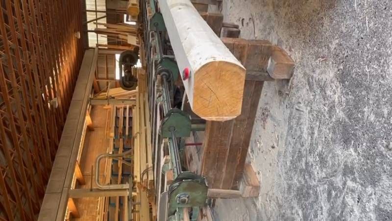 Holz wird verarbeitet, Foto der Nobs Sägerei AG