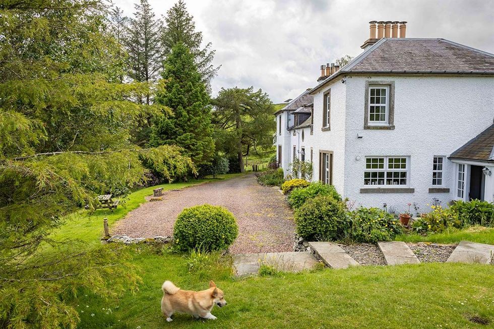 Hawks Nest Bed & Breakfast garden and corgi