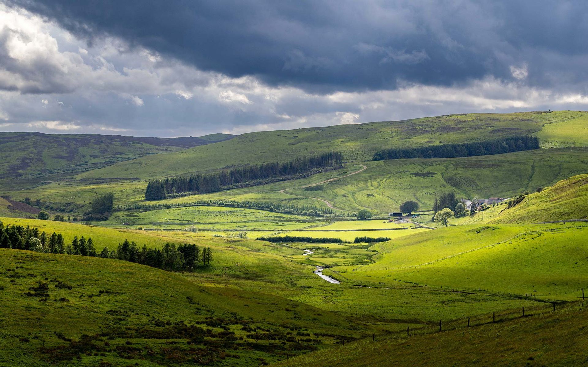 Hawks Nest Bed & Breakfast in the Scottish Borders hills 
