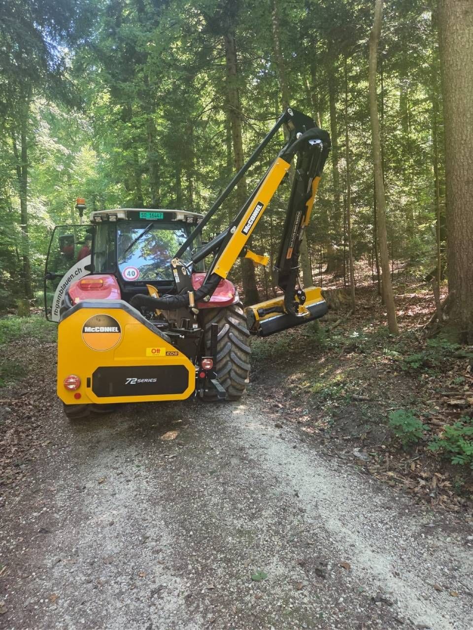Ein gelber Kompaktbagger rodet Gestrüpp entlang eines bewaldeten Schotterwegs.
