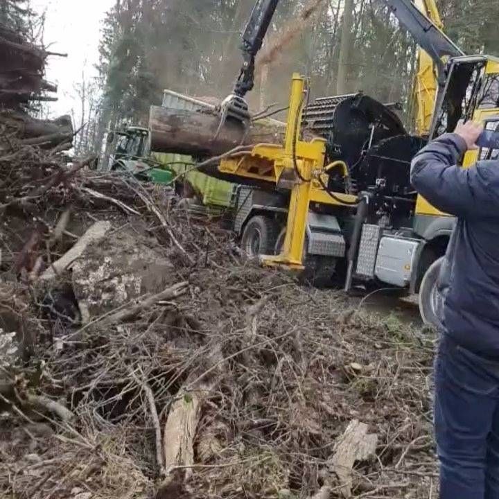 Gelbe Holzfällermaschine hebt einen grossen Baumstamm auf einer schlammigen, mit Geröll bedeckten Waldlichtung an.