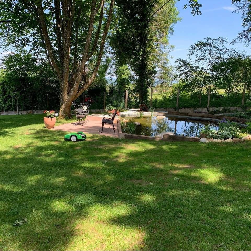 Sonniger Garten mit grünem Rasen, Bäumen, Terrassenstühlen und einem kleinen Teich.