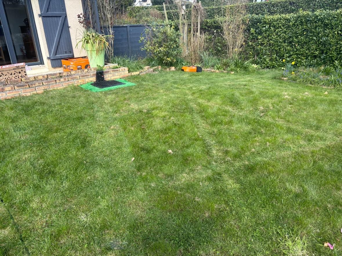 Un robot tondeuse installé dans un jardin.