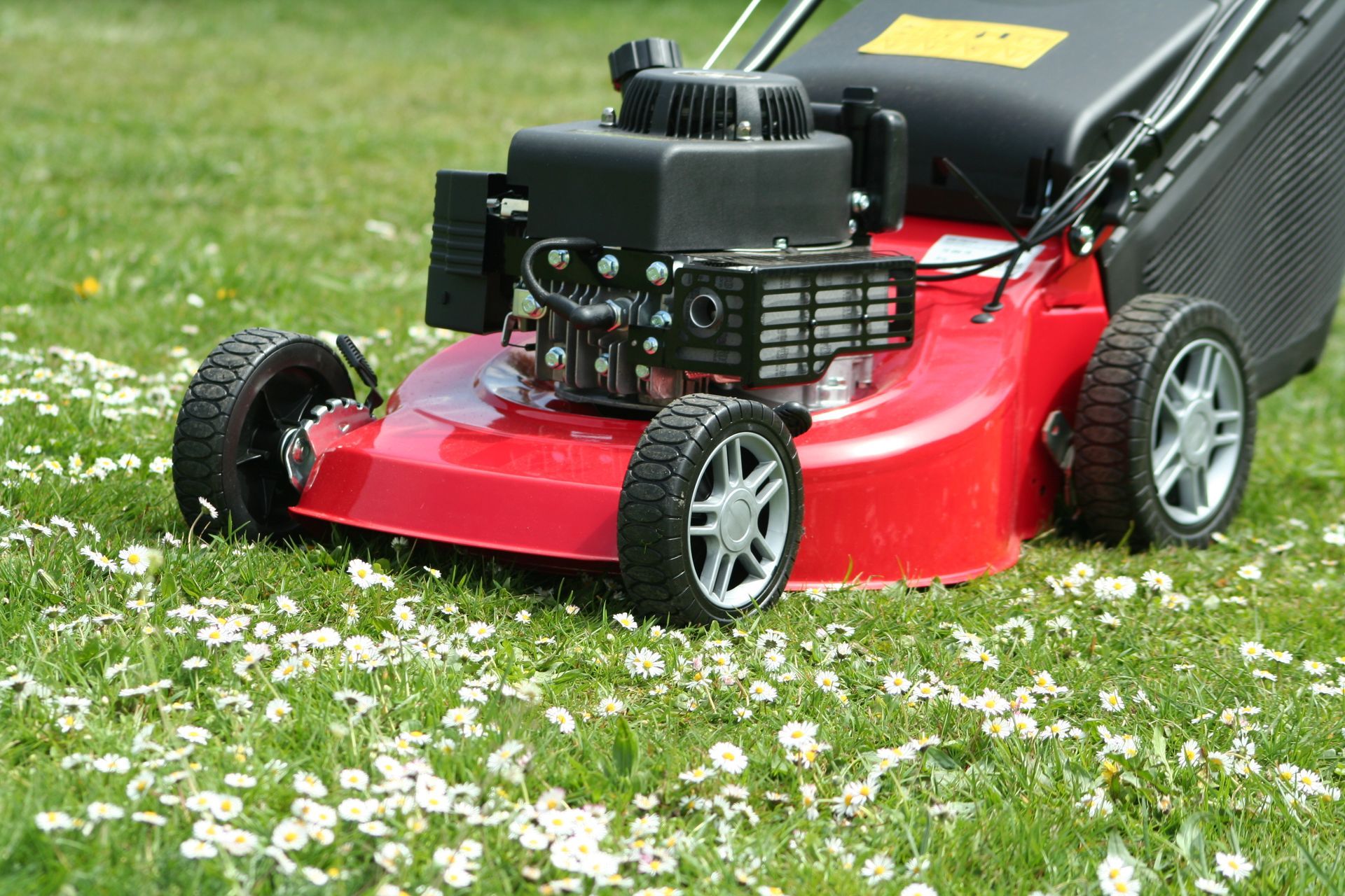Une tondeuse à gazon rouge.