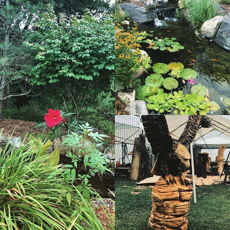 Jardin et fleurissement