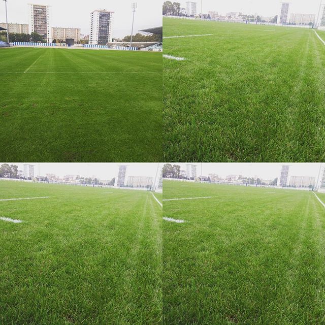 Pelouse de terrain de foot