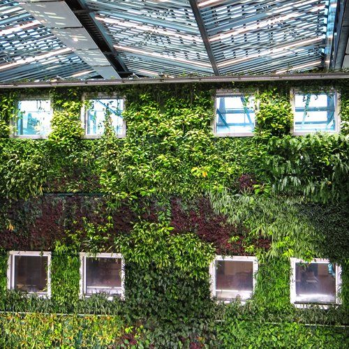 Murs et toitures végétalisés