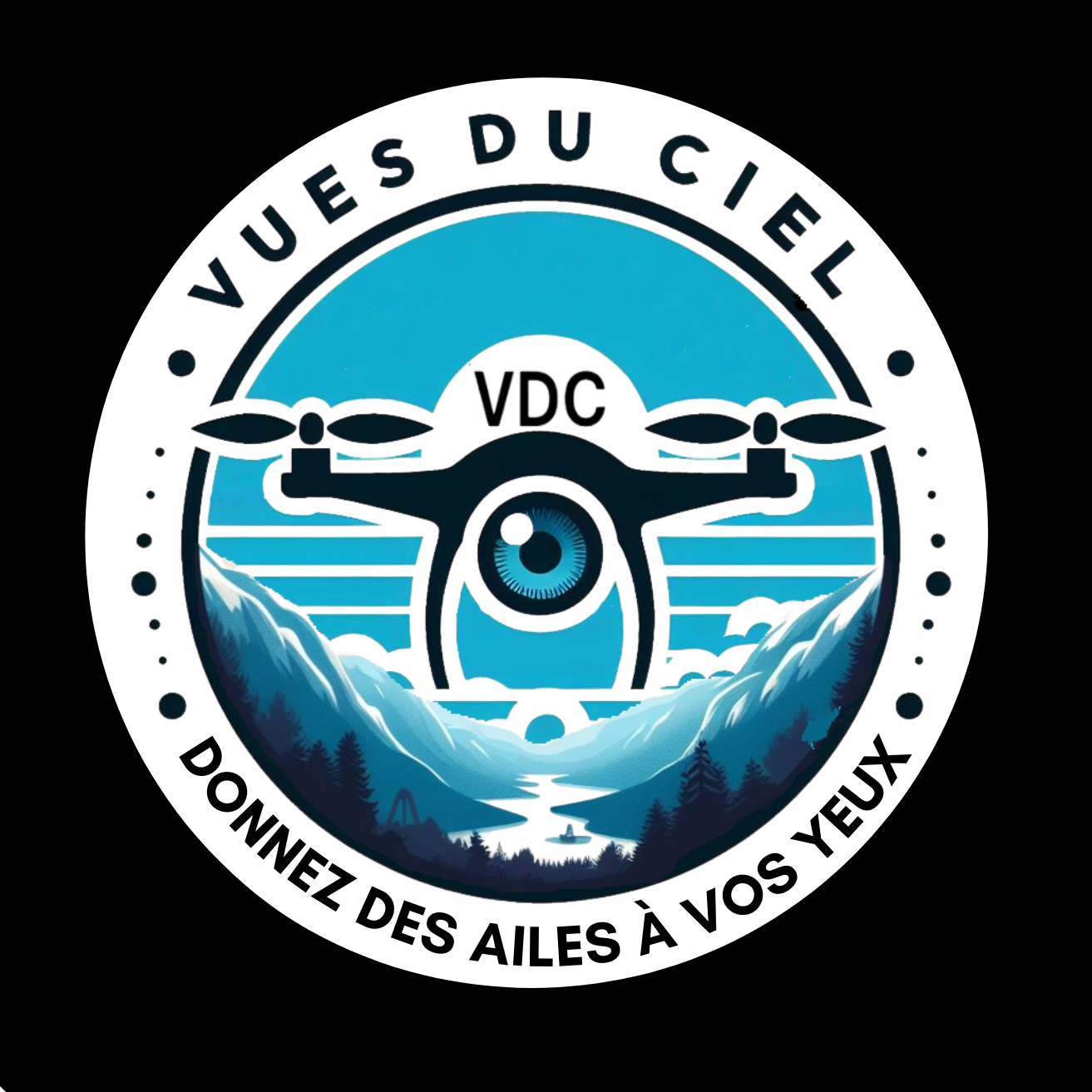Logo de Vues Du Ciel.