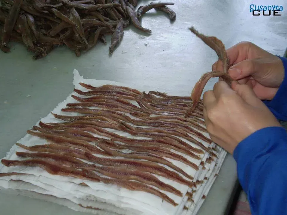 Una persona está limpiando una pila de anchoas en una toalla de papel.
