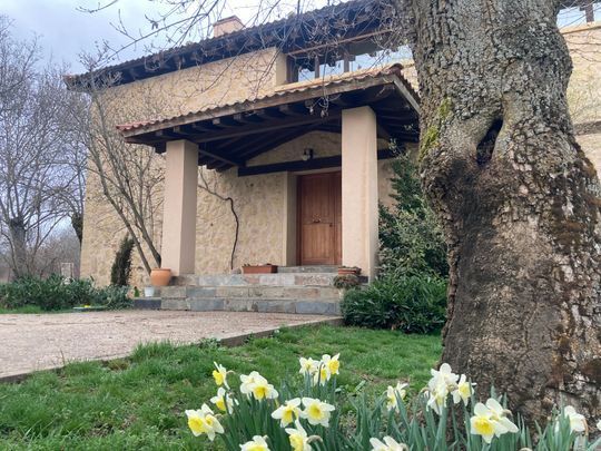 Una casa con flores delante y un árbol en primer plano.