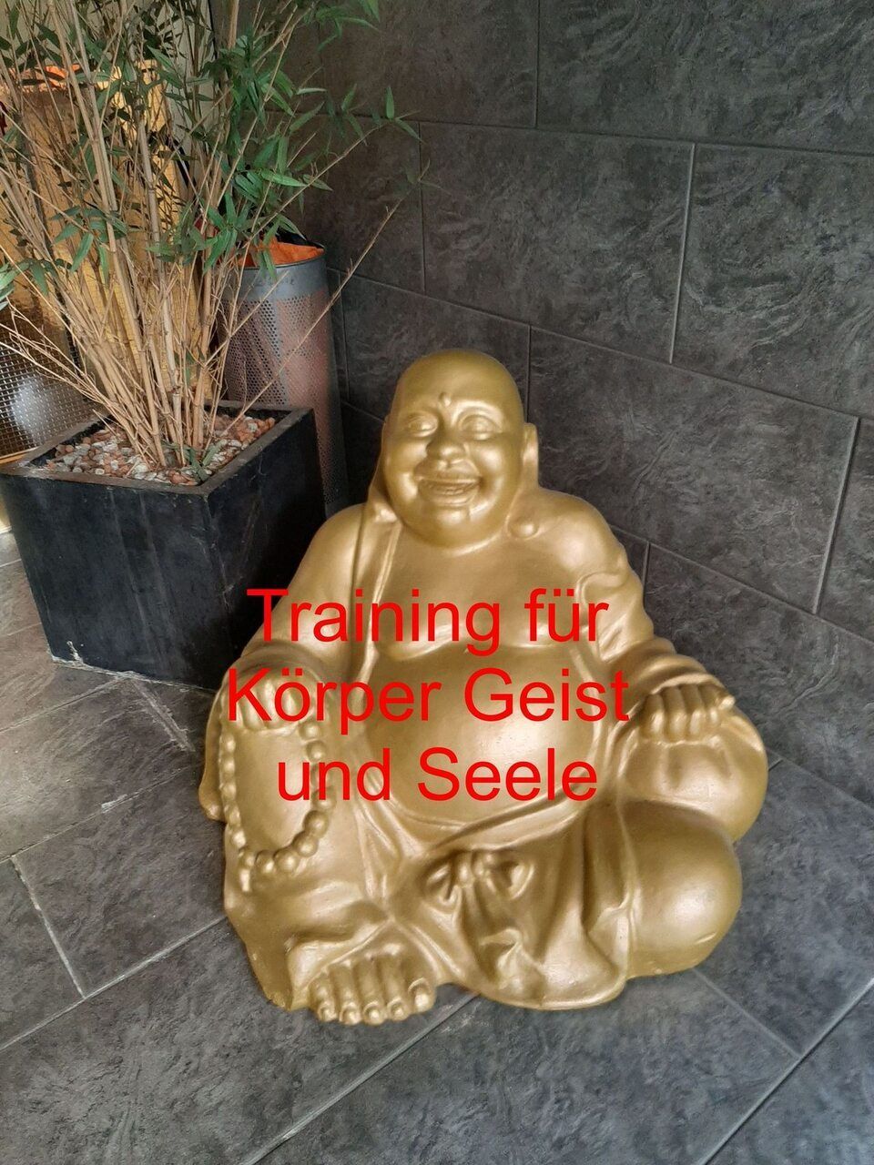 Buddha im Zentrum für Stressregulation Basel