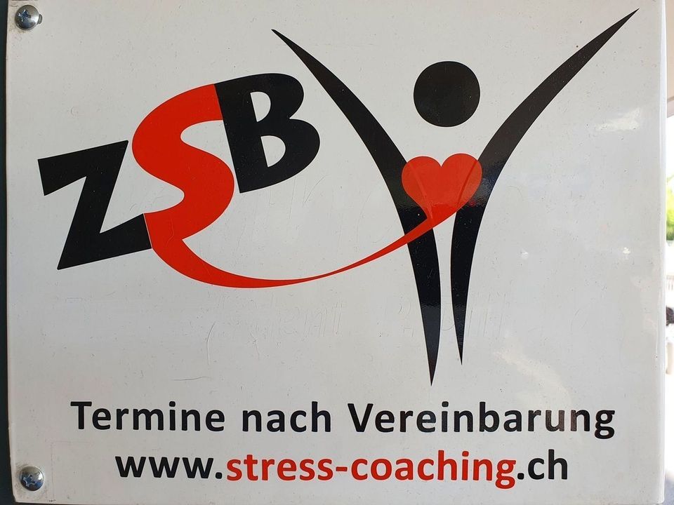 Logo vom Zentrum für Stressregulation Basel