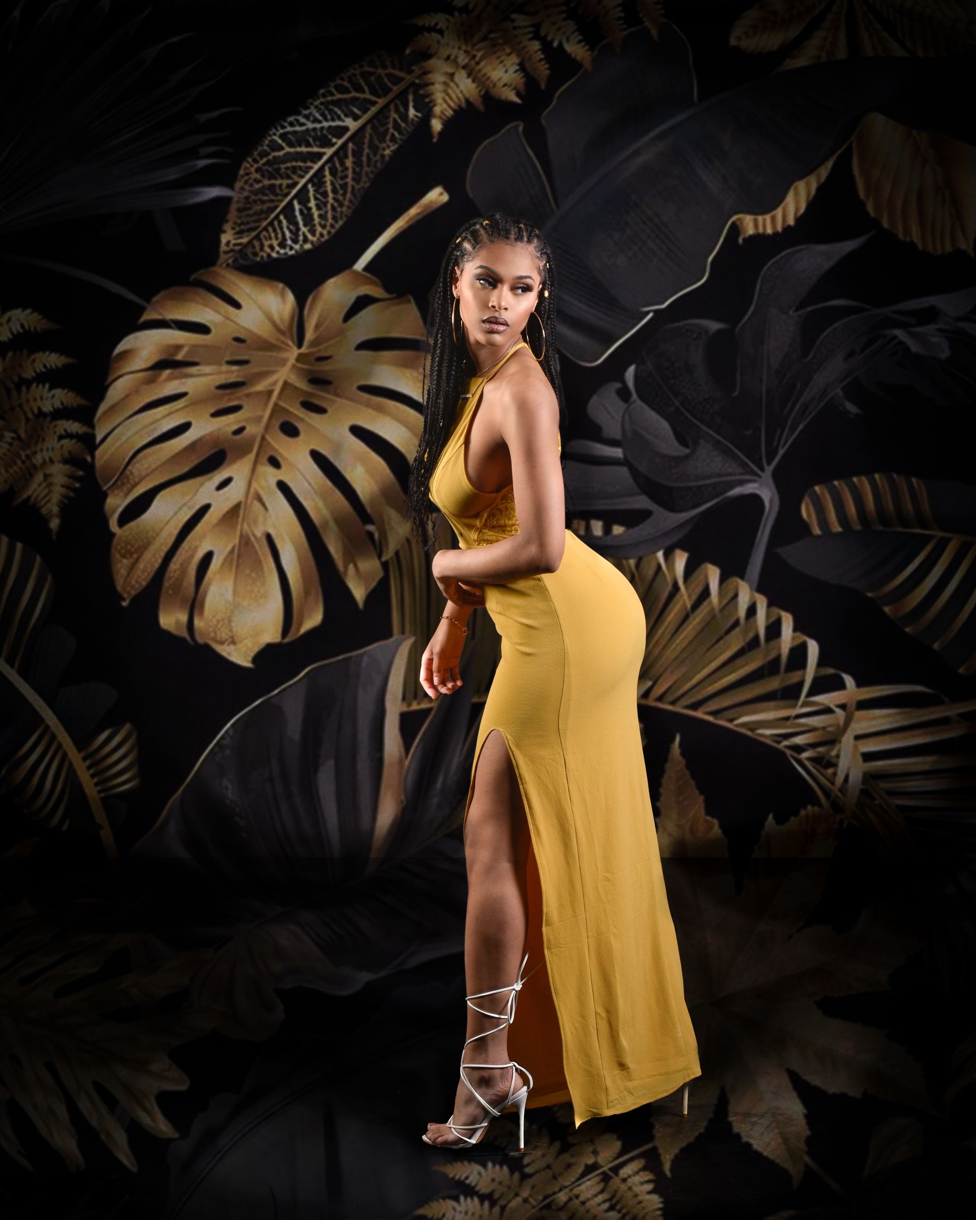 vers la page Photographie