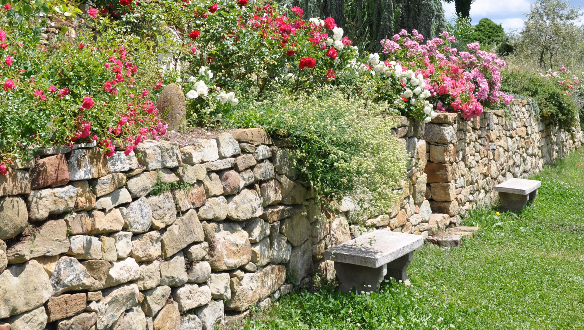 Muret de jardin avec plantations