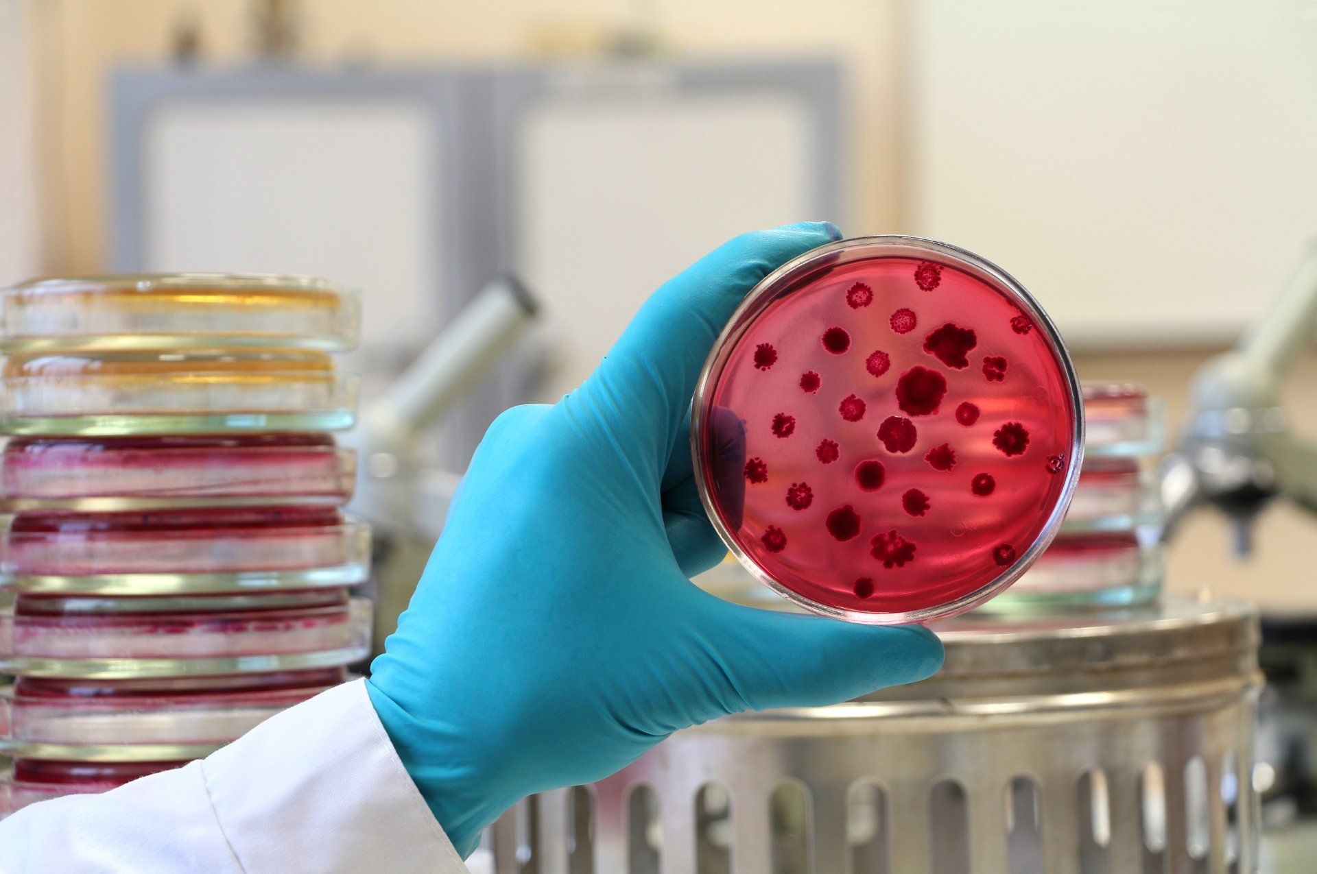 pharmazeutische-wirkstoffe-biologischer-ursprung-aachen-bbt-biotech
