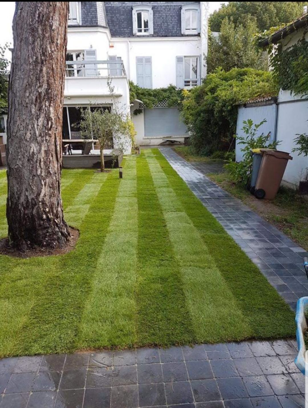 Allée pavée dans un jardin à la pelouse fraîchement tondue