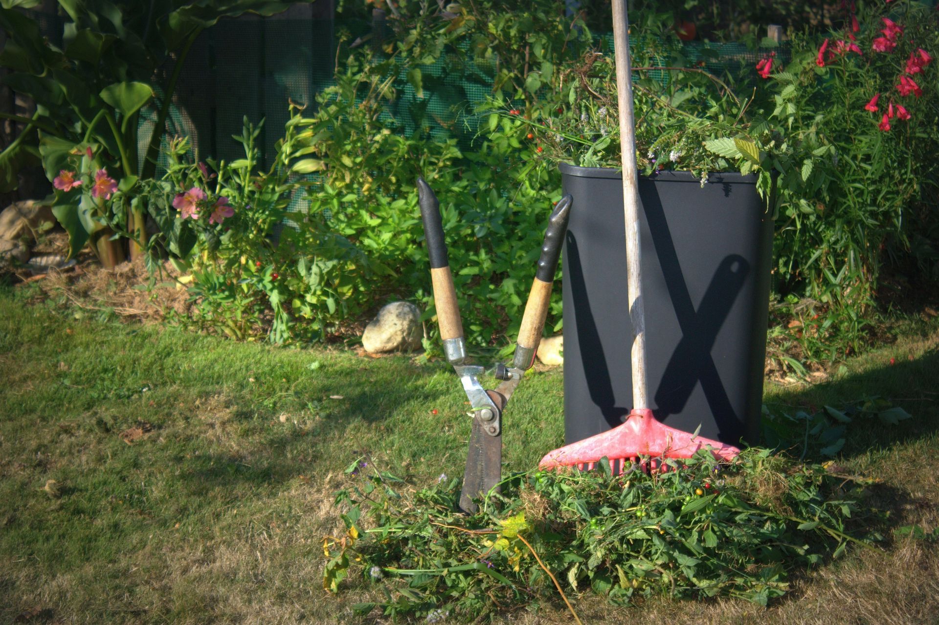 Outils d'entretien de jardin et poubelle avec des déchets verts