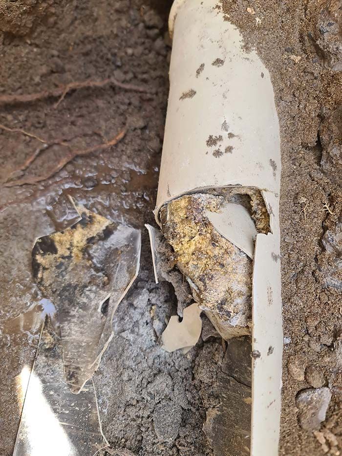 Tubería de PVC blanca rota en una zanja de tierra, con restos amarillos en su interior. La tubería está rodeada de tierra y raíces.