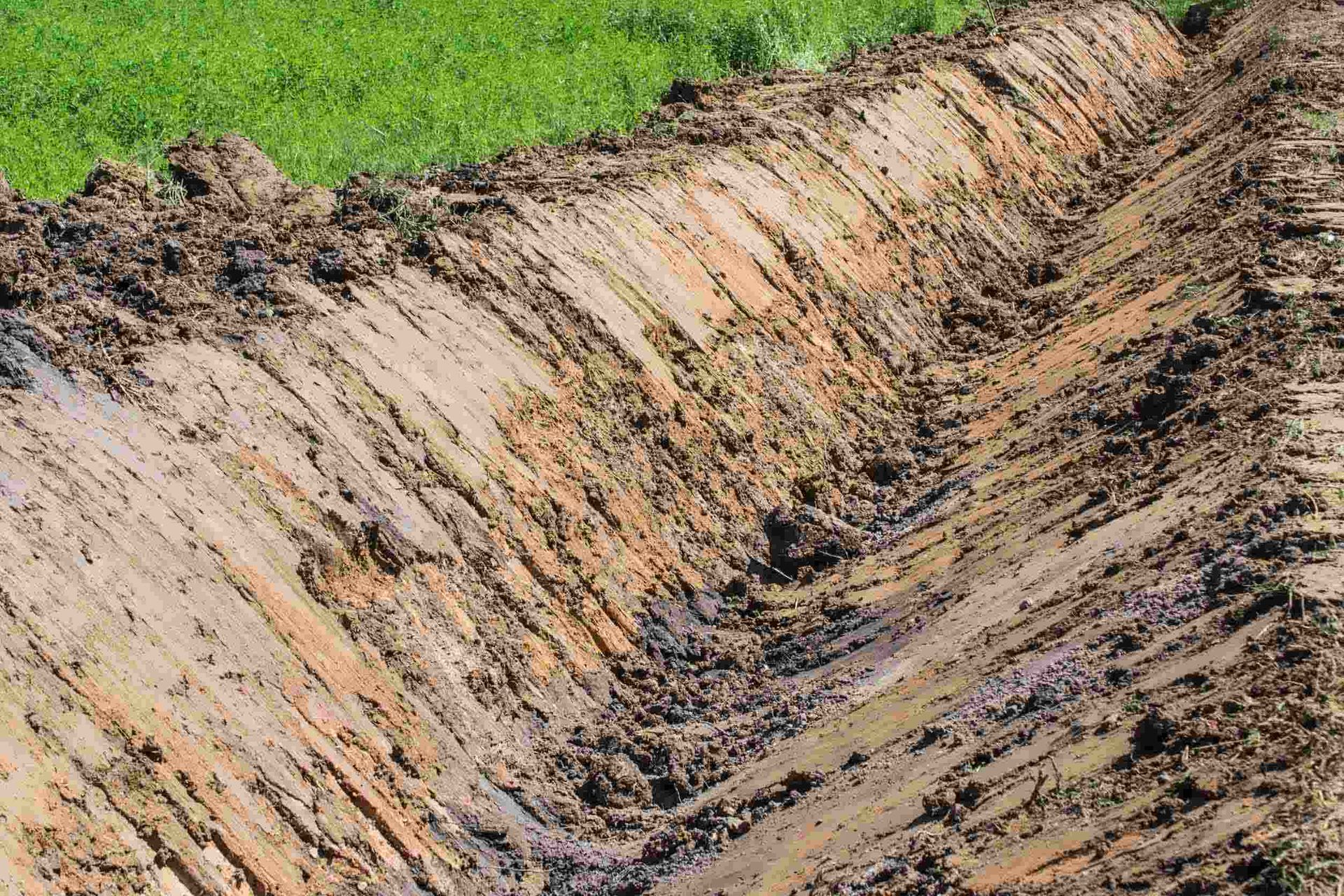 Un campo fangoso con un campo de hierba al fondo.