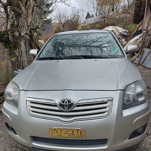 ΤΑΞΙ ΤΡΙΚΑΛΩΝ - ΤΣΕΡΓΟΥΛΑΣ ΒΑΣΙΛΕΙΟΣ