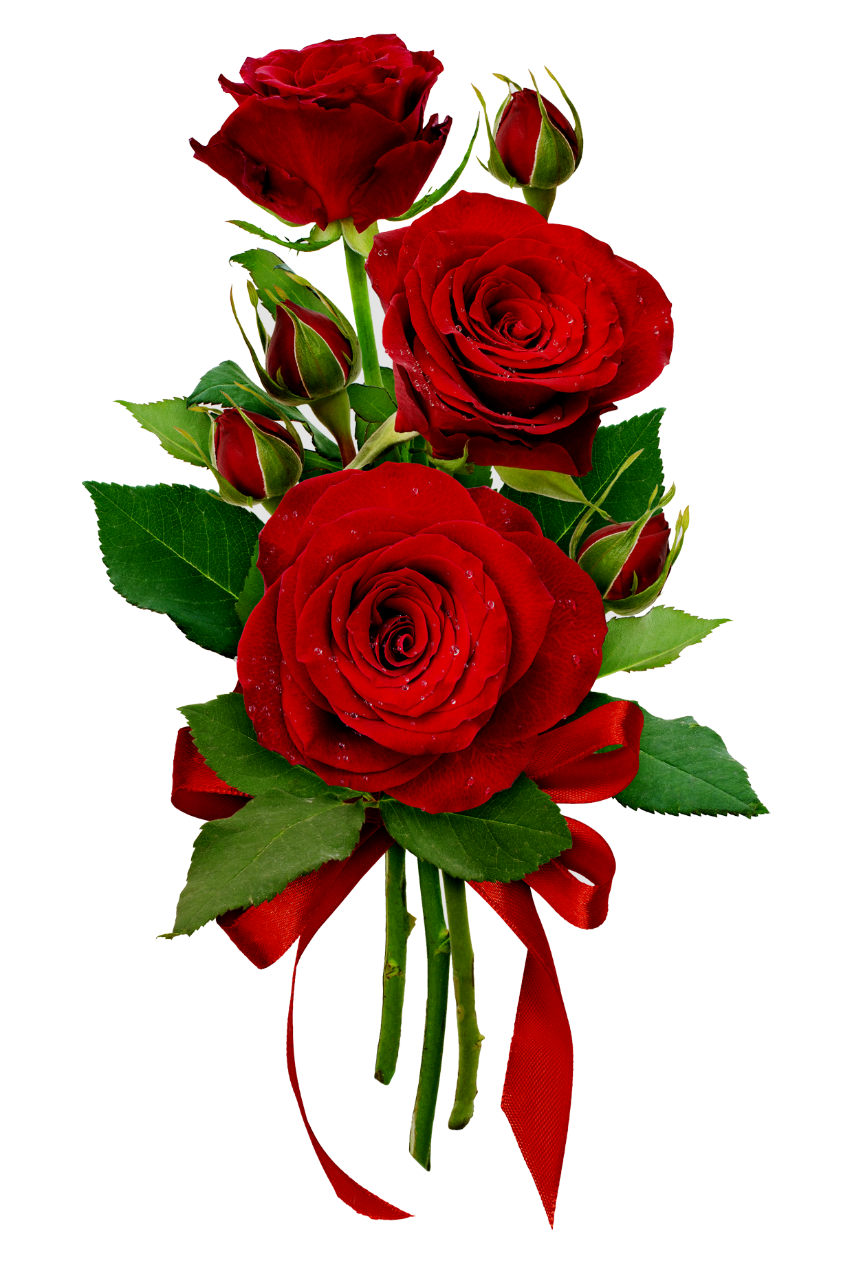 Illustration de trois roses rouges