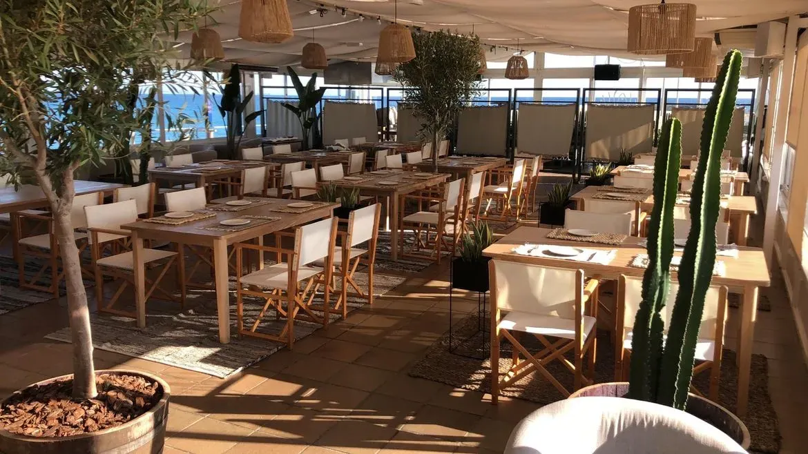 Un restaurante con mesas y sillas y un cactus en el medio de la habitación.