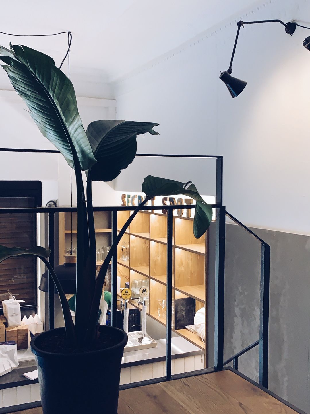 Una planta en maceta está sobre un piso de madera junto a una escalera.