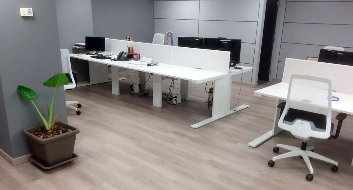 Una habitación con muchos escritorios y sillas y una planta en maceta.