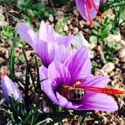 Atelier des Soins | Genève