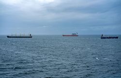 Trois cargos sur une mer calme bleu-gris, sous un ciel couvert
