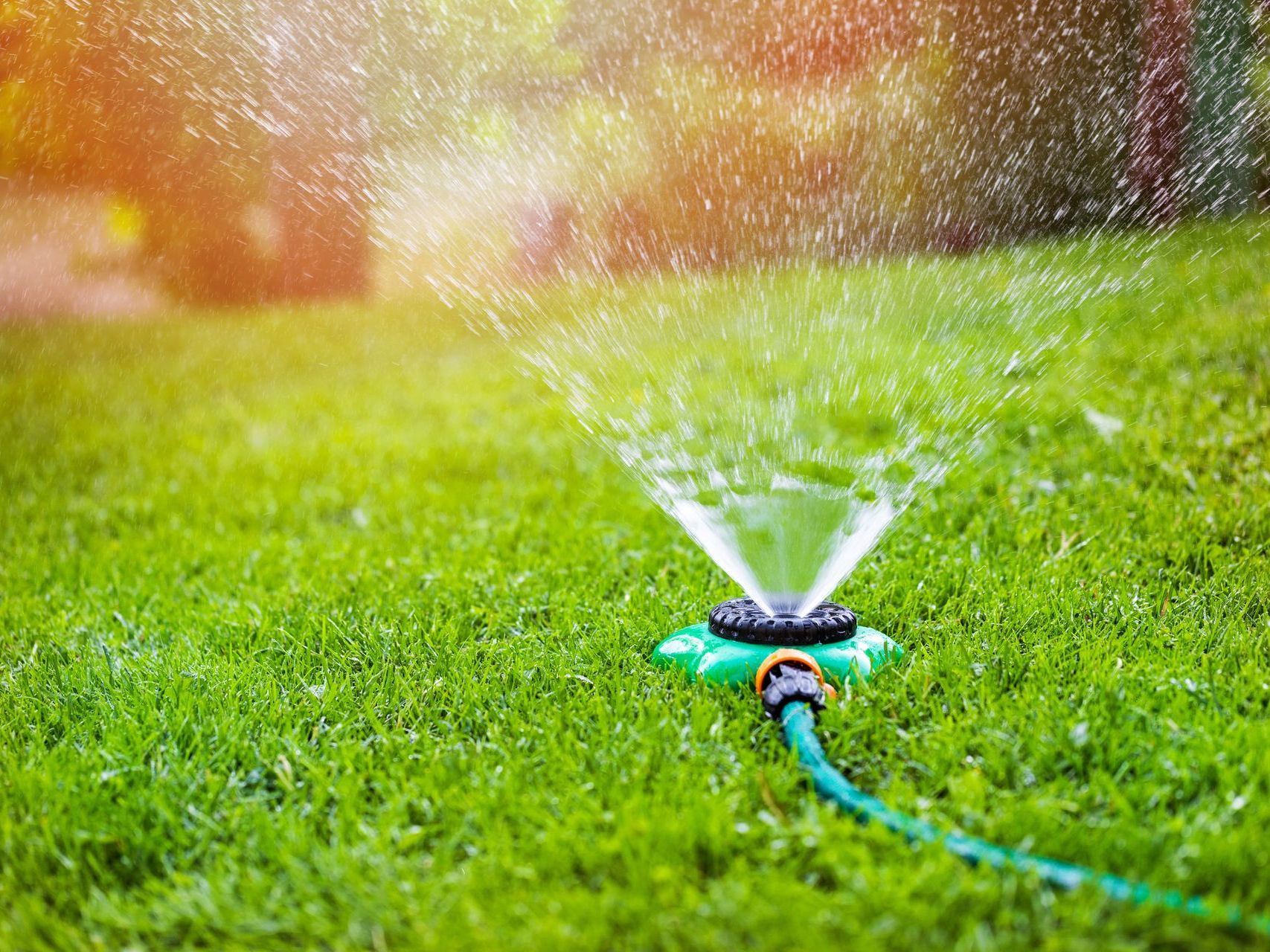 Un arroseur de pelouse pulvérise de l'eau sur une pelouse verte luxuriante.